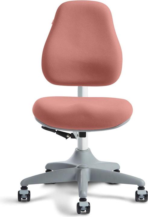 Actual product image Flexa Chair Verto Misty Rose