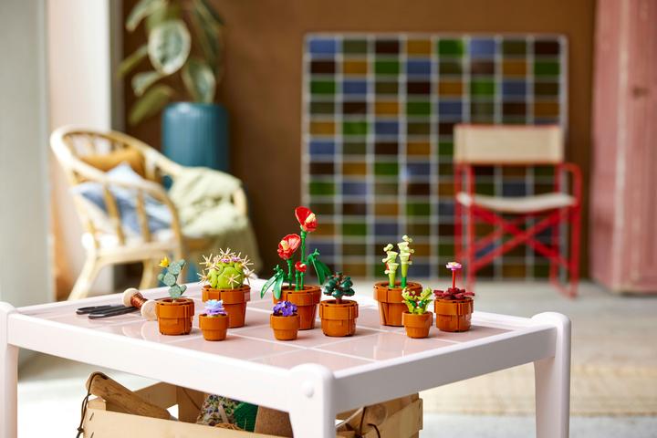 Immagine prodotto LEGO Mini piante (10329, LEGO Botanical, LEGO Icons)