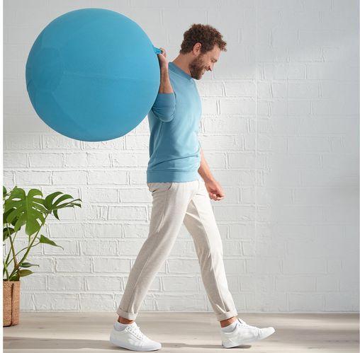 Actual product image Leitz Ergo Cosy Active sitting ball (65 cm)