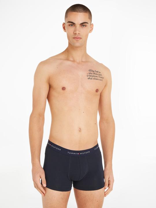 Productafbeelding Tommy Hilfiger WB Kofferbak (S, Set van 3)