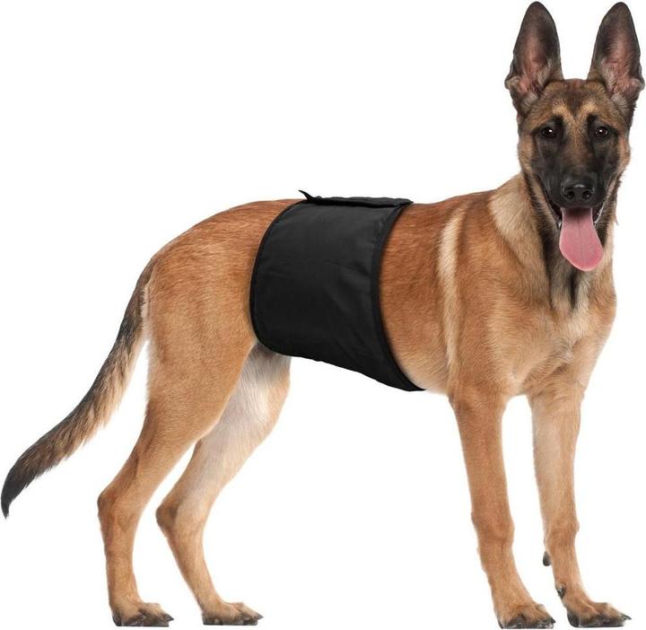 Image du produit Karlie Gentleman Wraps Plus (S, Combinaison pour chien)
