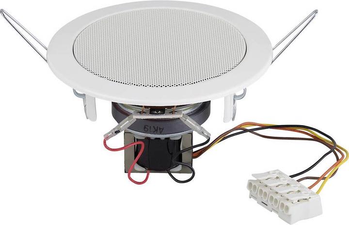 Produktbild Visaton Deckenlautsprecher DL 10 (RAL 9005) 8 Ohm (1 Stk.)