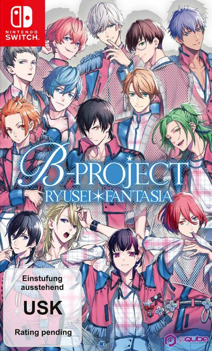 Produktbild Pqube B Project Switch (Switch, DE)