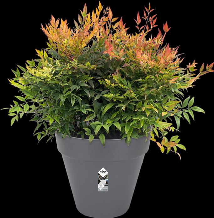 Produktbild Elho Loft Urban (19.30 cm)