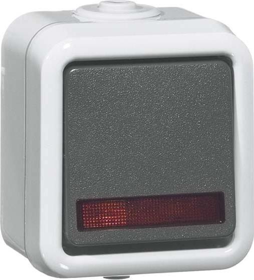Actual product image Peha rocker switch