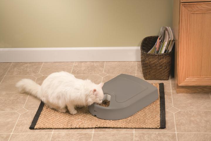 Actual product image PetSafe Automatic feeder (0.20 l)