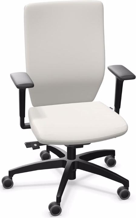 Actual product image Dauphin ST 6855