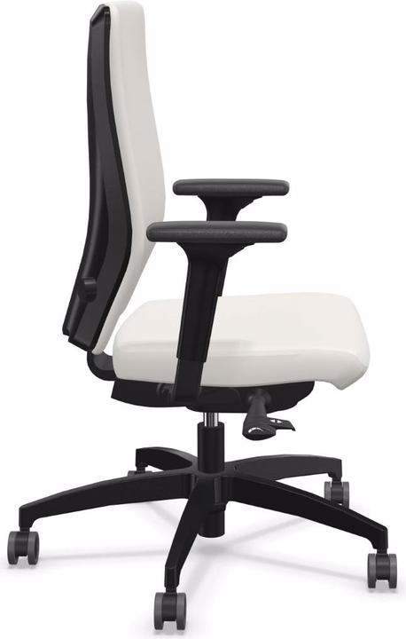 Actual product image Dauphin ST 6855