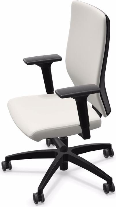 Actual product image Dauphin ST 6855