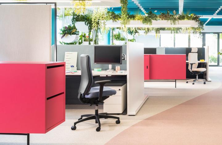 Actual product image Dauphin ST 6855