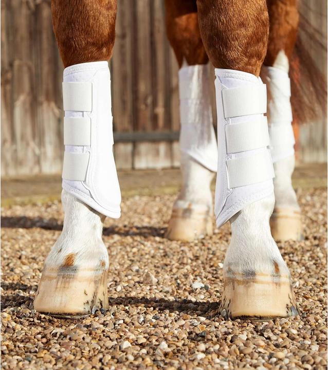Produktbild Premier Equine Carbon Airtech Arbeitsgamaschen