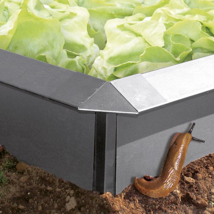 Immagine prodotto Bellissa Piastra a vite 100x20cm (100 cm)