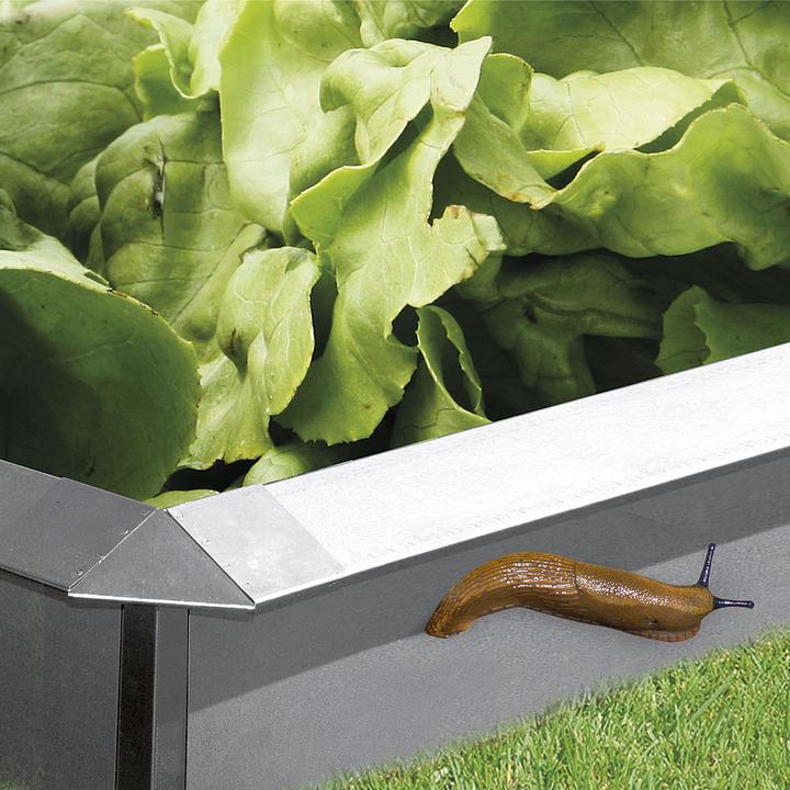 Immagine prodotto Bellissa Piastra a vite 100x20cm (100 cm)