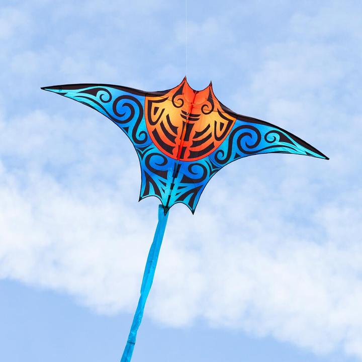 Actual product image Invento Manta Kite