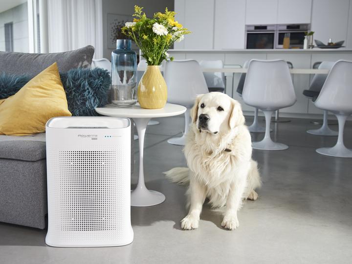 Image du produit Rowenta Pure Air Genius (10 m²)