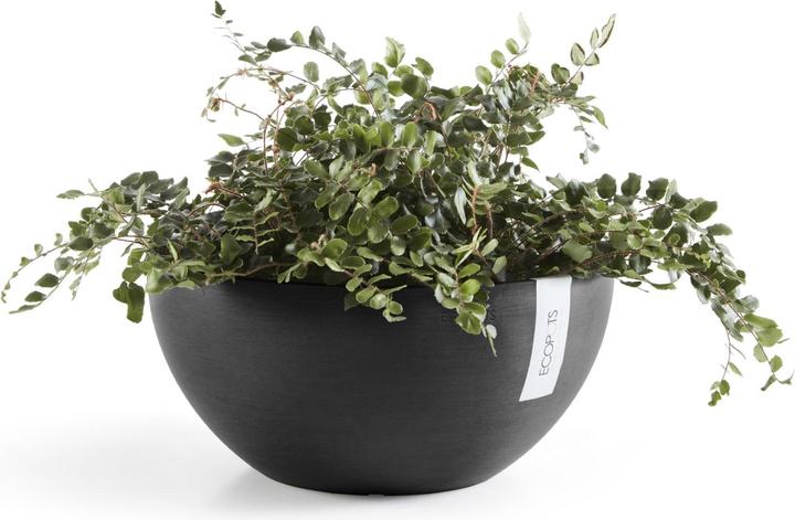 Produktbild Ecopots Brussels (30 cm)