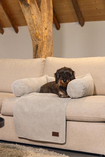 Produktbild Designed by Lotte Ribbed (Hund)