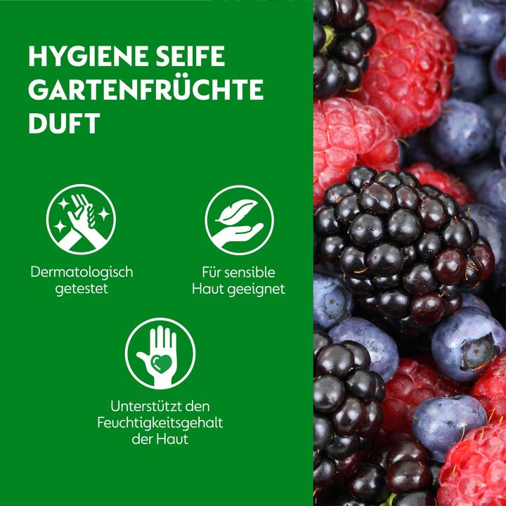 Actual product image Dettol No Touch (Liquid soap, 250 ml)