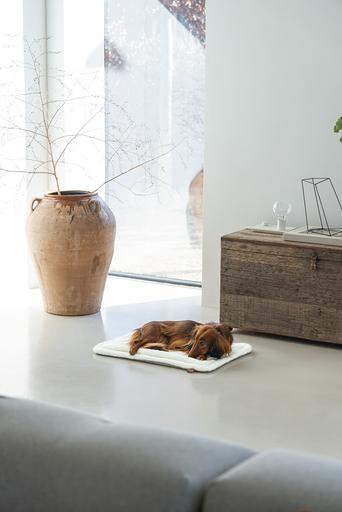 Image du produit Designed by Lotte Nalino (Chien)