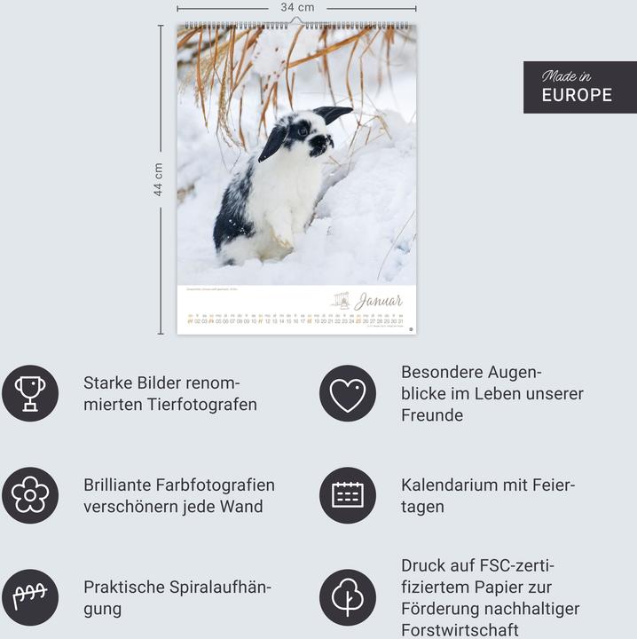 Produktbild Kaninchenkinder Posterkalender 2026 (34 x 44 cm, Harter Einband, Deutsch)
