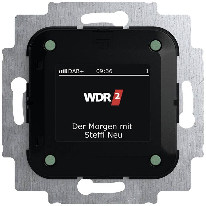 Actual product image Busch-Jaeger Bush radio DAB+ (DAB+)