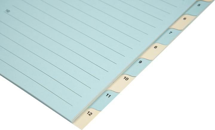 Actual product image Biella Register Cardboard coloured