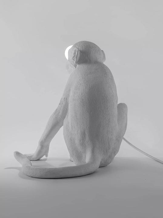 Actual product image Seletti Decorative lamp (350 lm, E12)