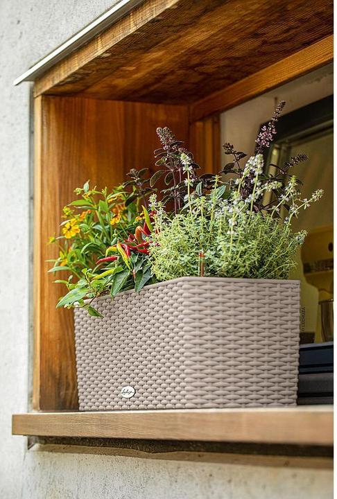 Immagine prodotto Lechuza Fioriera Balconera Cottage 50 (19 cm)