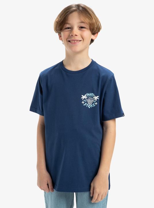Immagine prodotto Quiksilver Ev Share The Stoke Ss Yth (14)
