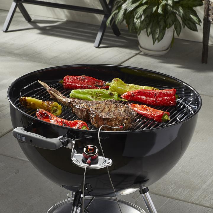 Image du produit Weber iGrill mini