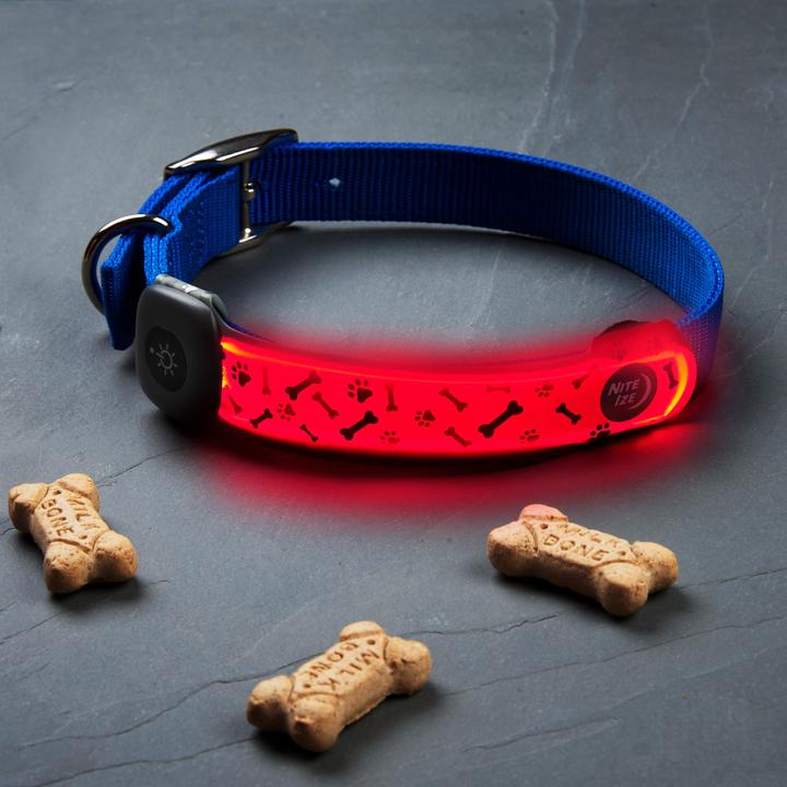 Actual product image Nite Ize NiteDog Rechargeable LED Collar Cover (Dog, General)