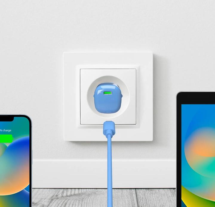 Image du produit Puro Chargeur (20 W)