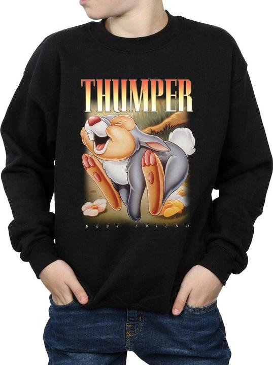 Image du produit Disney - Sweat BAMBI THUMPER MONTAGE - Garçon (140, 146)