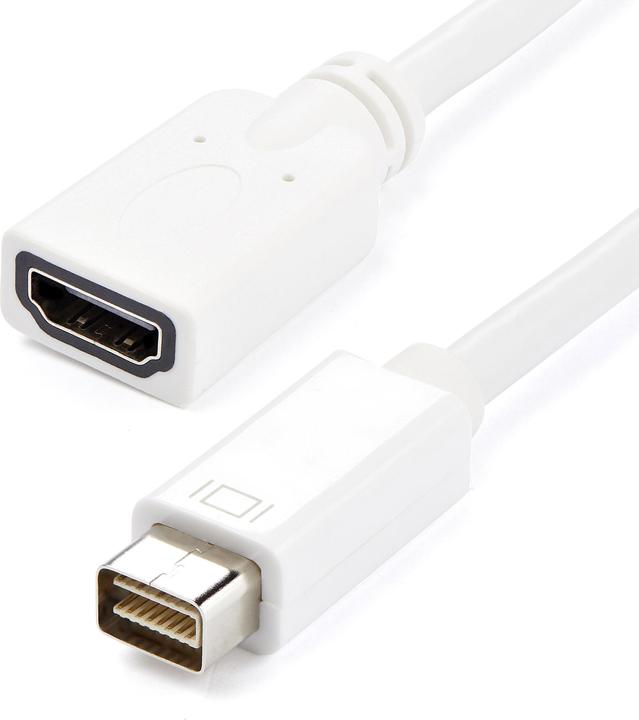 Image du produit StarTech Mini DVI vers (HDMI, 20 cm)