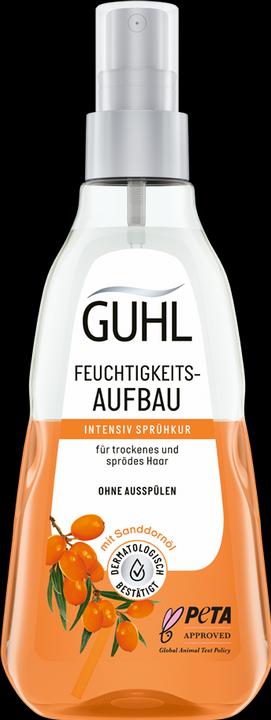 Guhl Feuchtigkeitsaufbau Sprühkur intensiv (180 ml)