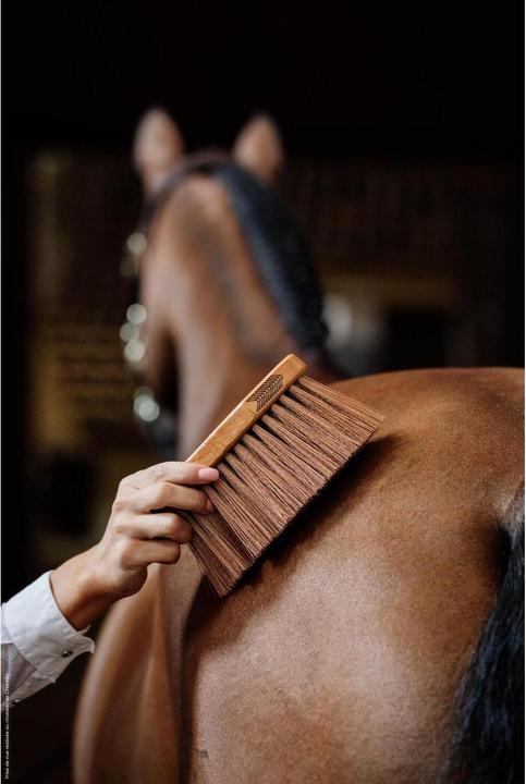 Actual product image Grooming Deluxe Middle Brush medium