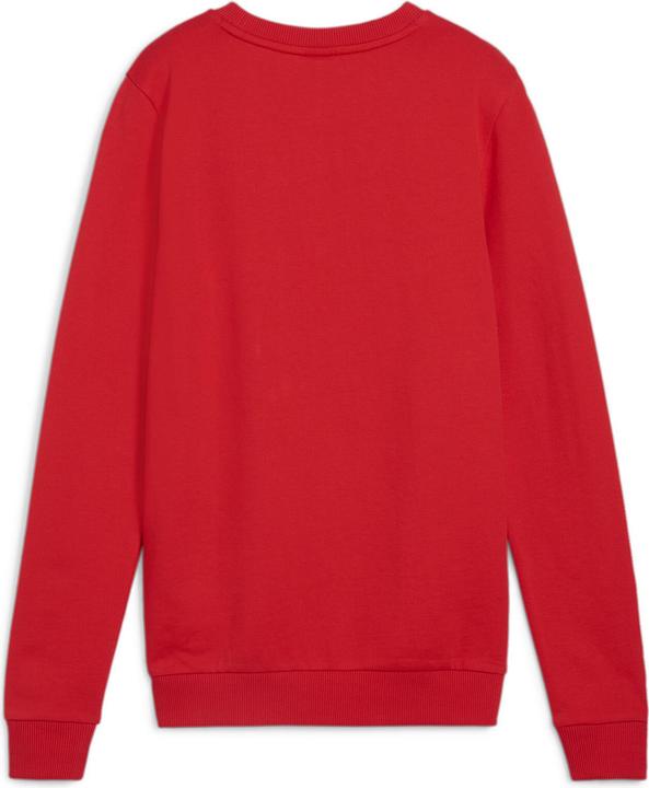 Actual product image Puma teamGOAL Casuals Crew Neck Sweat Wmn (XL)