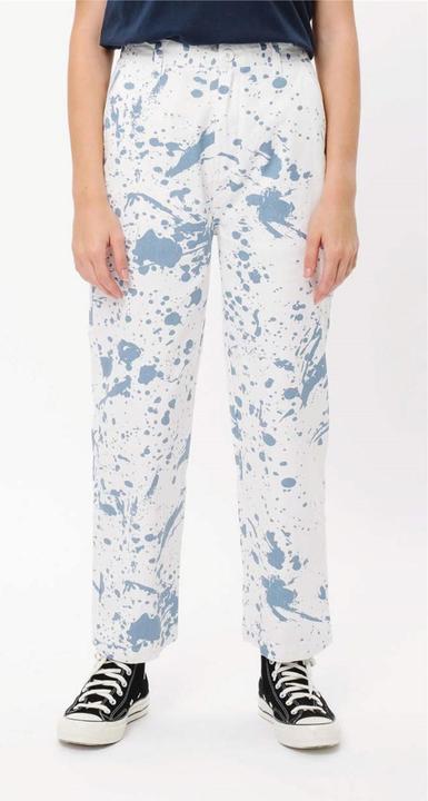 Santa Cruz Nolan Carpenter Pant