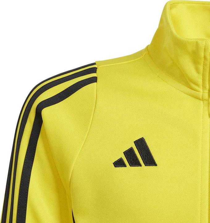 Actual product image adidas TIRO24 TRJKT Y (176)