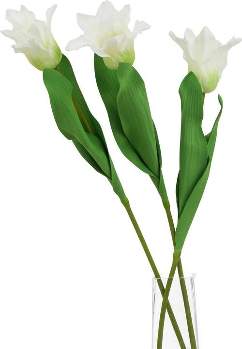 Immagine prodotto Hill Interiors The Natural Garden Collection Pappagallo Tulipano Fiore Artificiale (67 cm)