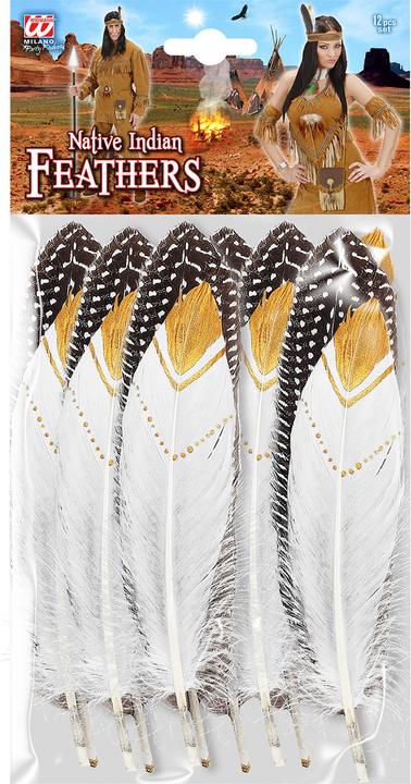 Actual product image Widmann Indian feathers set