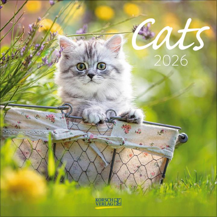 Immagine prodotto Cats 2026 (30 x 30 cm, Copertina rigida, Francese, Inglese)