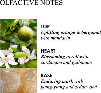 Produktbild Molton Brown Orange Bergamot (Körperlotion, 300 ml)