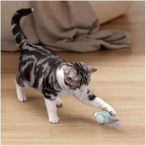 Produktbild Petlibro Pixie Mouse (Ballspielzeug Katze)