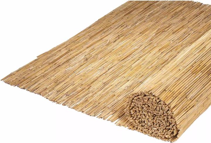 Image du produit Nature Alasa (150 cm)