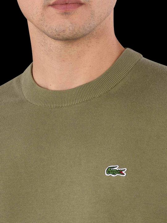 Actual product image Lacoste 10021716 (XL)
