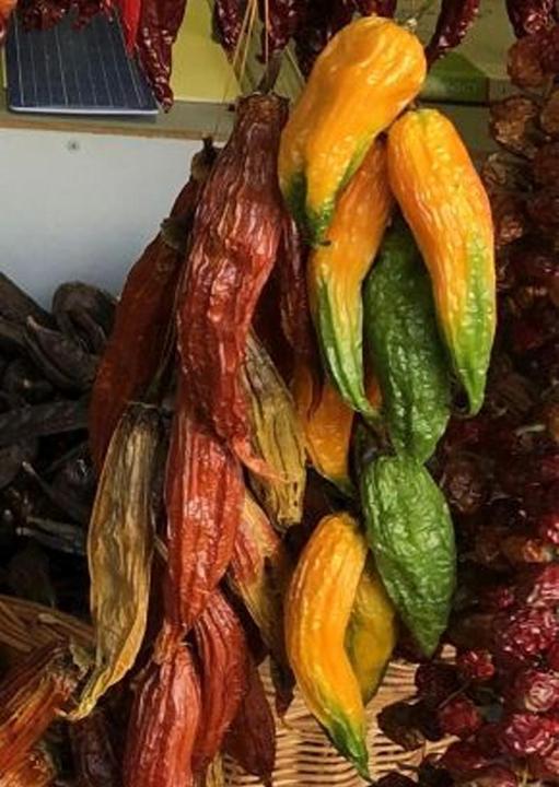 Tropica Chili - AJI Amarillo ( Capsicum baccatum ) (Gemüsesamen)