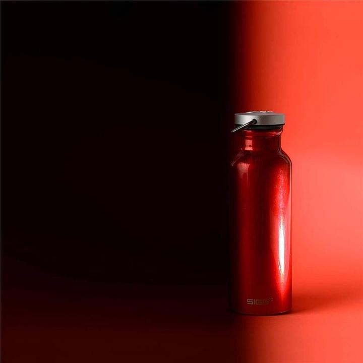 Actual product image Sigg bottles (0.75 l)