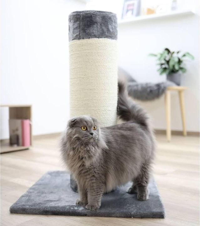 Actual product image Kerbl Arbre a chat Opal Ultra Ã¸ 22cm 82x60x60cm (82 cm, Grey, Natural)
