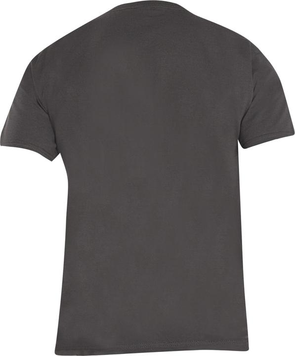 Actual product image AC/DC Unisex Adult Donington Set T-Shirt (XL)